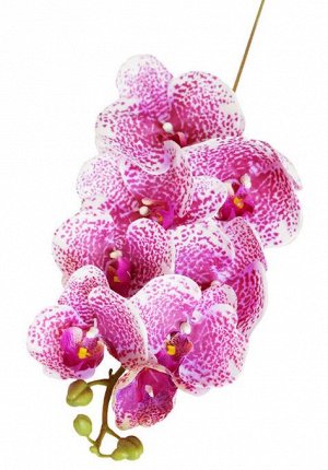 Орхидея Фаленопсис "Клеопатра " (8 цветков).Искусственный цветок.