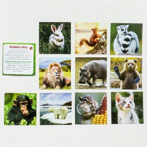 Настольная игра «Мемори мир животных», 28 карточек