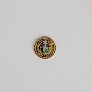 Монета "Приношу удачу", диам. 2,2 см