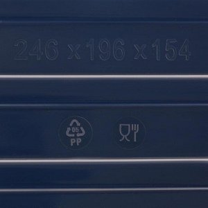 Контейнер для хранения с крышкой «Deco. Листья», 5 л, 24,6?19,6?15,4 см, цвет прозрачный