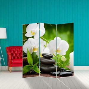 Ширма "Белая орхидея", 160 ? 150 см