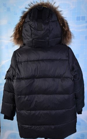 05125 Куртка зимняя Anernuo