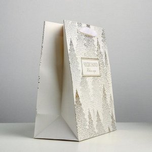 Пакет ламинированный вертикальный «Чудесного праздника», ML 23 ? 27 ? 11,5 см