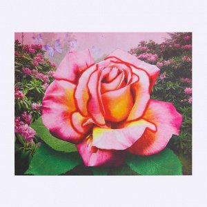 Алмазная картина «Нежная роза»