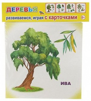 Деревья Комплект картонных карточек формата 11х11 см, 12 штук                                                                                                в упаковке с ЕВРОПОДВЕСОМ