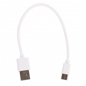 Кабель LuazON, Type-C - USB, 1 А, 20 см, белый,