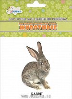 Мои первые английские слова &quot;Животные&quot;