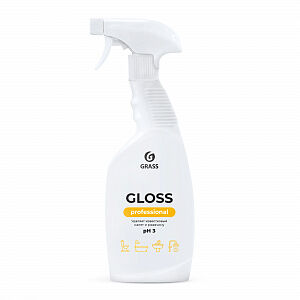 Чистящее средство "Gloss" Professional (флакон 600 мл), шт