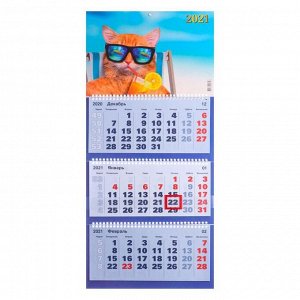 Календари квартальные трио "Кот на пляже" 31 х 69 см