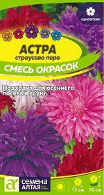 Астра Страусово Перо Смесь окрасок/Сем Алт/цп 0,3 гр.