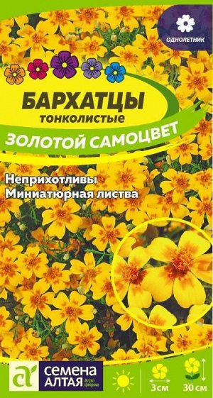 Цветы Бархатцы Золотой Самоцвет тонколистн./Сем Алт/цп 0,1 гр.