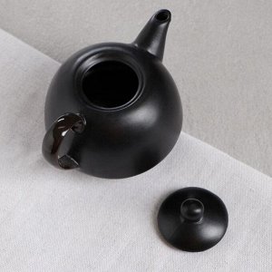 Чайник заварочный чёрный, матовый, 0,25 л