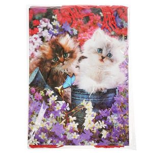 CLRBG-CATS-03 Пакет подарочный глянцевый котята 33*46*20см в пак. Играем вместе уп-12шт в кор.6уп