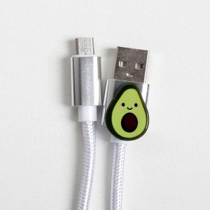 Набор кабель USB - micro USB и штекер «Авокадо», 1 м