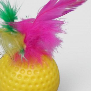 Игрушка для кошек "Рифлёный шар с пером", 3,5 см, микс цветов