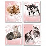 Тетрадь 12л., клетка BG &quot;Kitty&amp;Puppy&quot;, эконом