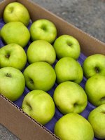 Яблоки. Зеленые. Granny Smith.