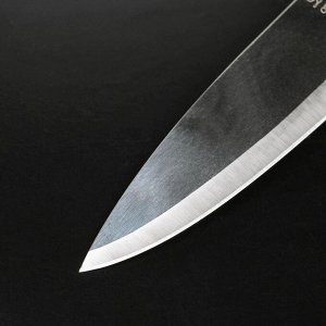 Нож кухонный «Классик», лезвие 16 см, пластиковая ручка 5417969