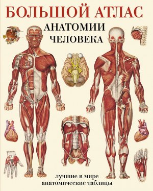 Махиянова Е.Б. Большой атлас анатомии человека