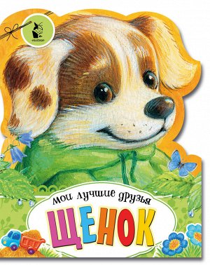 . Щенок Чем же можно заняться осенью? А весной? Маленький щенок точно знает - собирать ягоды и грибы, играть в снежки и много другое! Замечательные стихи и яркие иллюстрации расскажут вашему малышу эт