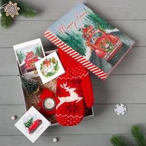 Подарочный набор "Merry Xmas" варежки р-р 19 и акс (4 предм)