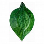 Салатник Oval leaf, 14,5*22.6*3.4CM