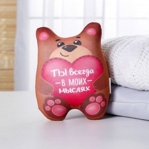 Игрушка-антистресс «Ты всегда в моих мыслях», мишка