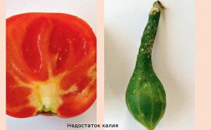 МоноКалийФосфат 0,5кг Буй 1/40