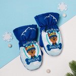 Рукавицы (варежки) зимние PAW PATROL &quot;Mountain&quot; р-р 14 (5-6 лет), синий