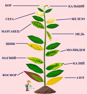 НОВ-АГРО УД Сульфат аммония 1кг НА 1/30