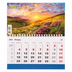 Календарь моно "Природа-5" 2021 год, 20 - 24 см