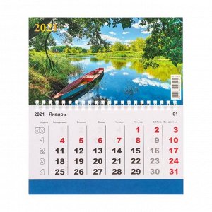 Календарь моно "Природа-3" 2021 год, 20 - 24 см