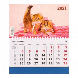 Календарь моно "Коты-1" 2021 год, 20 - 24 см