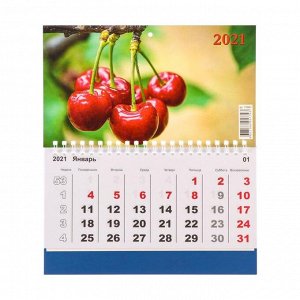 Календарь моно "Вишня" 2021 год, 20 - 24 см