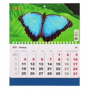 Календарь моно "Бабочка" 2021 год, 20 - 24 см