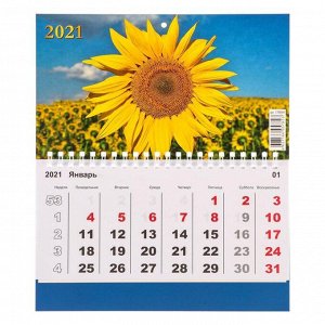 Календарь моно "Цветы-1" 2021 год, 20 - 24 см