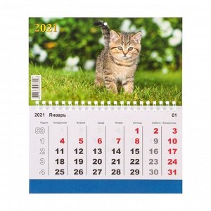 Календарь моно "Коты-3" 2021 год, 20 - 24 см