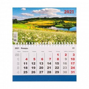 Календарь моно "Природа-6" 2021 год, 20 - 24 см