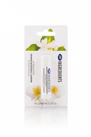 Ingredients Lip Balm Stick 4,5г