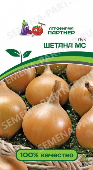 Семена Лук репчатый Шетана МС ^(1Г)