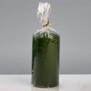 Свеча - цилиндр "Колор", 6?11,5 см, зелёный