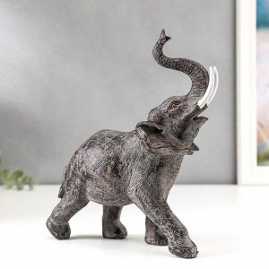 Сувенир полистоун "Чёрный слон" 23,5х22х10 см
