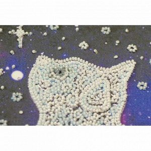 АМВ-052 "Звёздный кот"