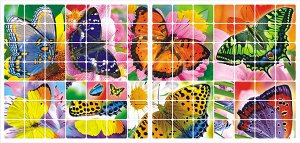 Раскраска с наклейками А4 "Бабочки"