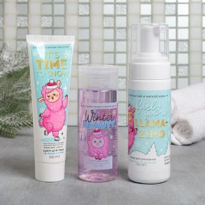 Набор зимний уход для лица Winter beauty, пенка для умывания, тоник, крем для лица