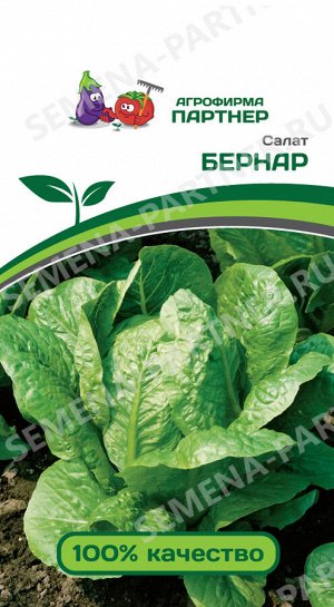 Салат кочанный бернар ^(0,5г)