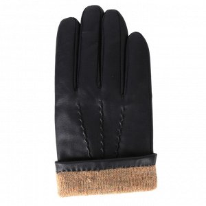 Зимние кожаные мужские перчатки FABRETTI 12.42-12 blue