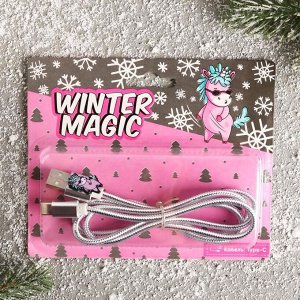 Кабель Type-C Winter magic, 1А, 1 м