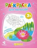 Раскраска для малышей. Цветы.