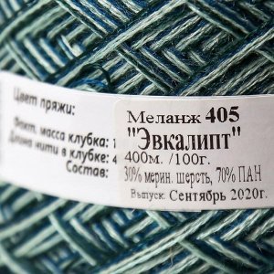 Пряжа "Белорусская меланж" 30% меринос. шерсть, 70% ПАН 400м/100гр (405 эвкалипт)
